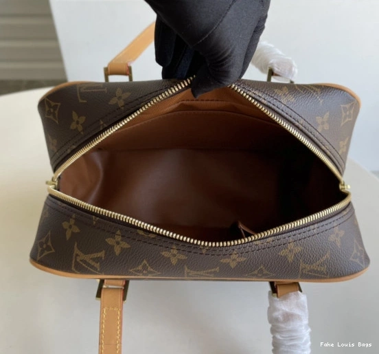 Fake Louis Bags CITE LOUIS VUITTON 0811